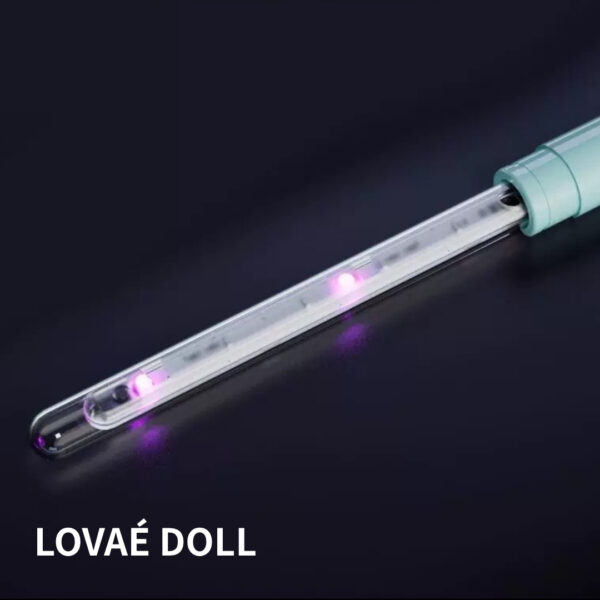 5 Heating and UV Sterilization Lamp